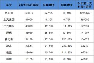 开云手机官网入口网址是什么